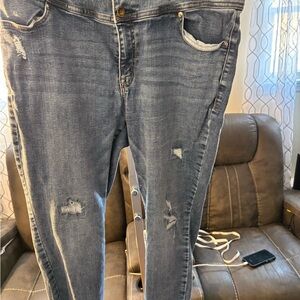 Lane Bryant Distressed Boyfriend Jeans in Blue